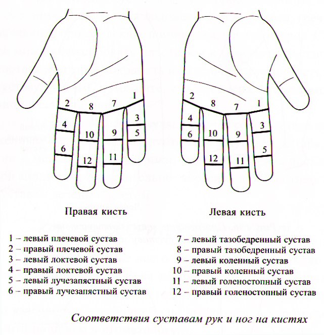 Су-Джок терапия для суставов