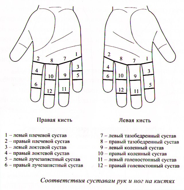 Су-Джок терапия для суставов