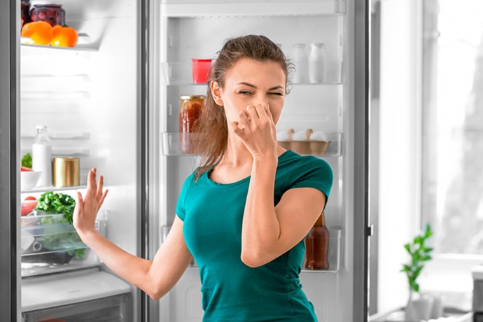 Откуда берется запах в холодильнике и как с ним бороться