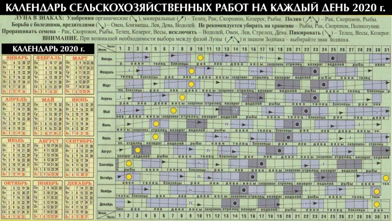 Подробный лунный календарь огородника на 2020 год