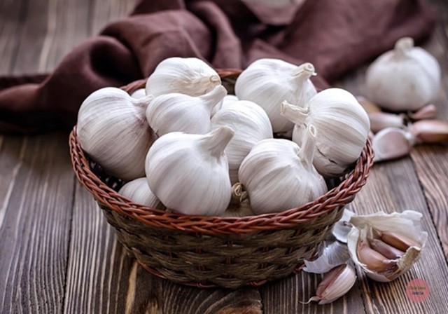 Полезные свойства чеснока для здоровья