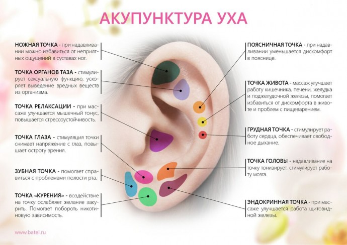 Точки на ушах, которые помогут снять боль и быть здоровым