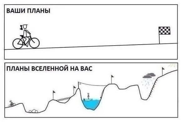 Смешные планы на жизнь