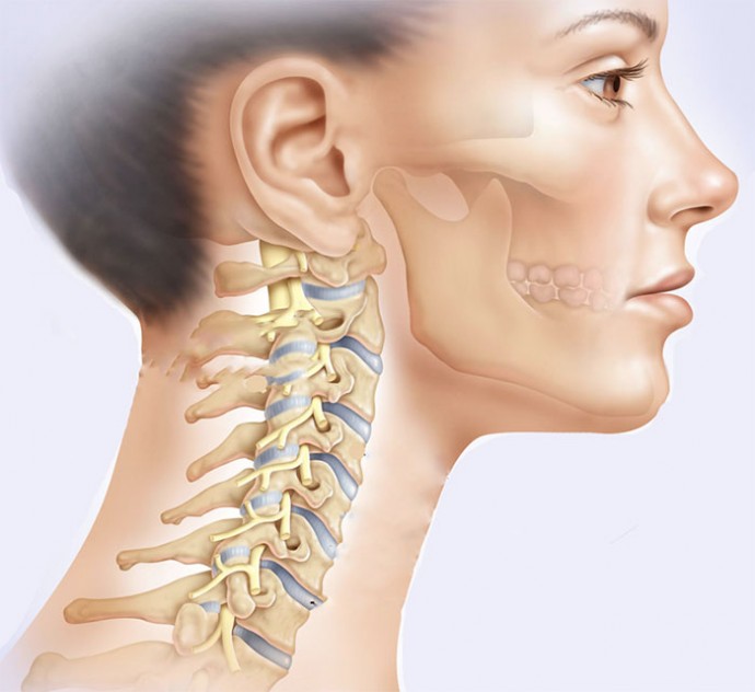Эффективные упражнения для шейных позвонков