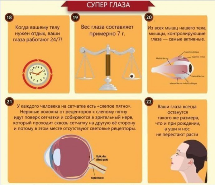 Что стоит знать про глаза