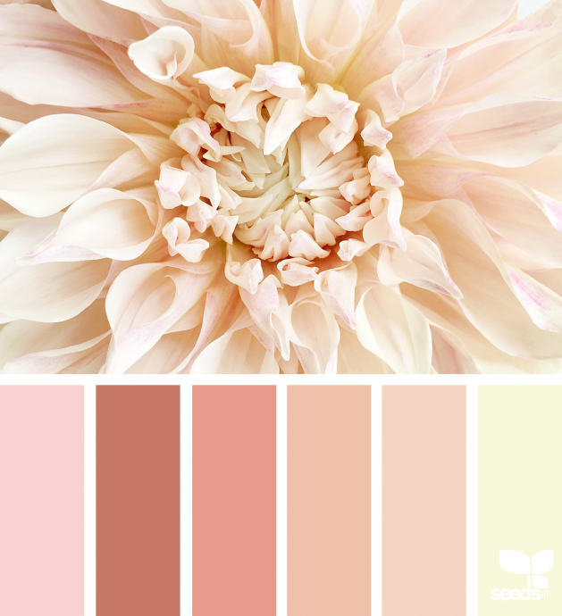 ​С какими цветами красиво сочетается нежно-розовый