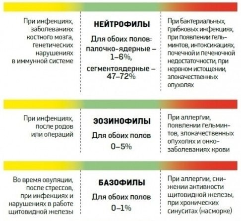 О чем способен рассказать анализ крови