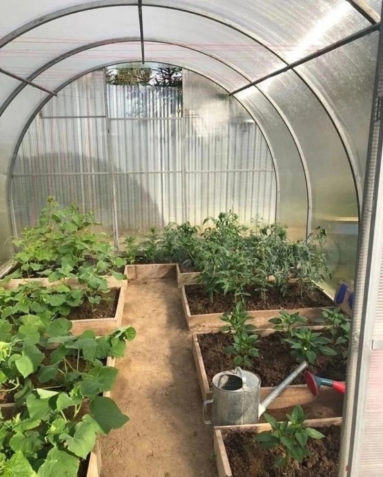 Симпатичные варианты обустройства теплиц