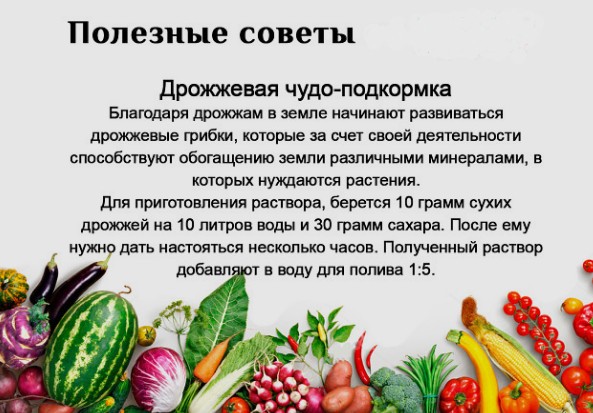 Ценное для садоводов и огородников