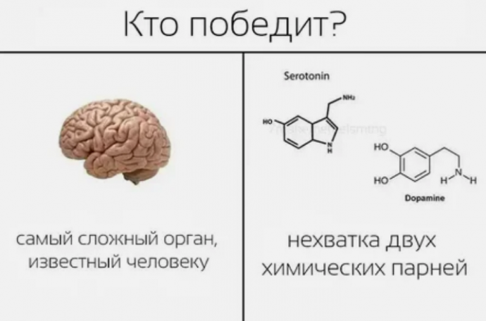 Что стоит знать о дофамин-детоксе Что стоит знать о дофамин-детоксе