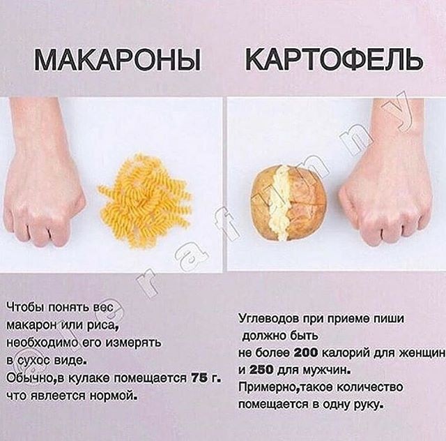 Нормы приема пищи Нормы приема пищи