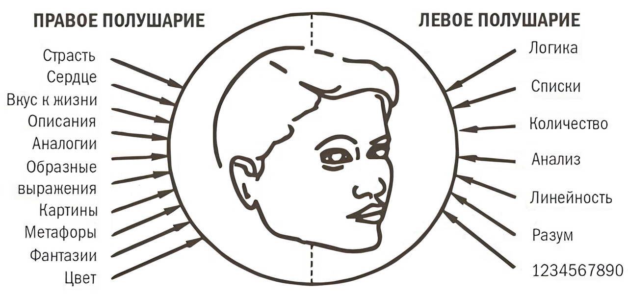 Как развить левое полушарие. Правое полушарие. Левое полушарие. Левое и правое полушарие мозга. Левое полушарие эмоции.