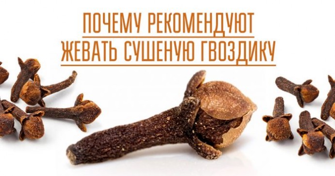 Чем хороша привычка жевать сушеную гвоздику Чем хороша привычка жевать сушеную гвоздику