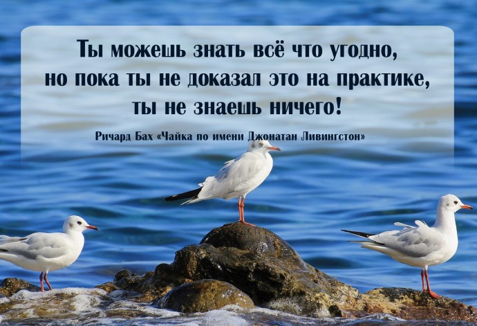 15 лучших цитат из книг Ричарда Баха — американского писателя, философа и публициста 15 лучших цитат из книг Ричарда Баха — американского писателя, философа и публициста