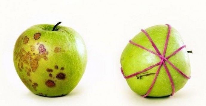 ​Как сохранить надрезанное яблоко