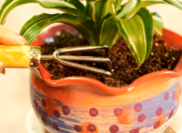 ​Как сделать идеальный грунт для комнатных растений своими руками