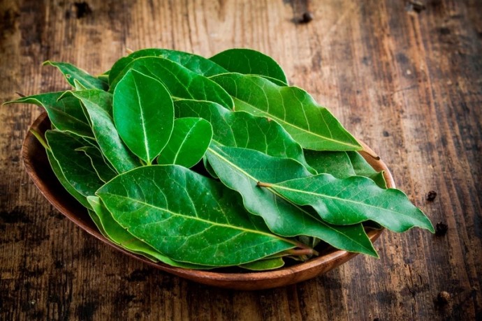 Как с помощью лаврового листа избавиться от тараканов раз и навсегда Как с помощью лаврового листа избавиться от тараканов раз и навсегда