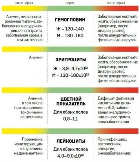 О чем способен рассказать анализ крови