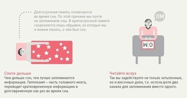 ​Что нужно знать о том, как мозг усваивает и запоминает информацию