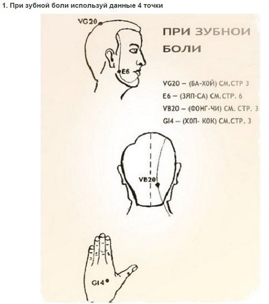 Уникальные свойства бальзама «Звездочка»