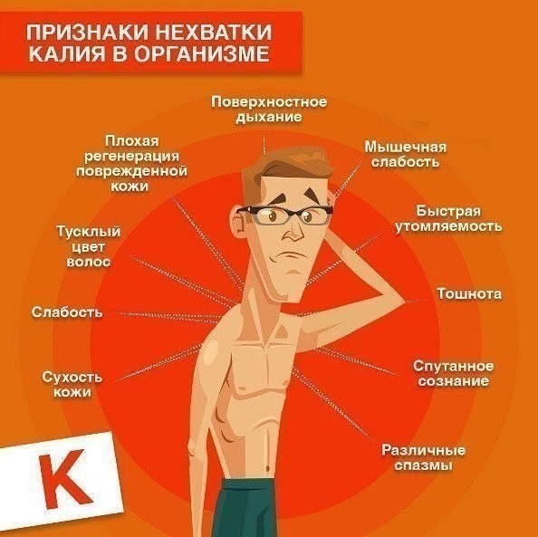 Как понять, чего не хватает организму