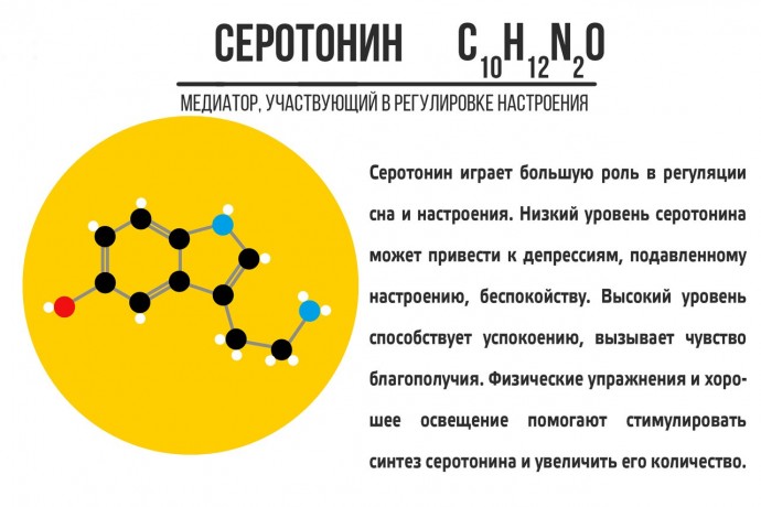 ​Что стоит знать про нейромедиаторы