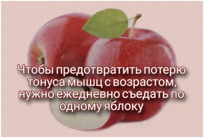 Как предотвратить потерю тонуса мышц с возрастом