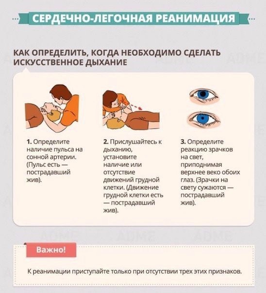 Правила оказания первой помощи