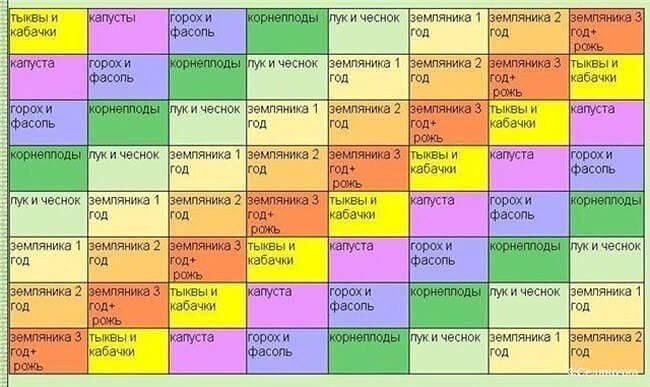 Чередуем овощи на грядках Чередуем овощи на грядках