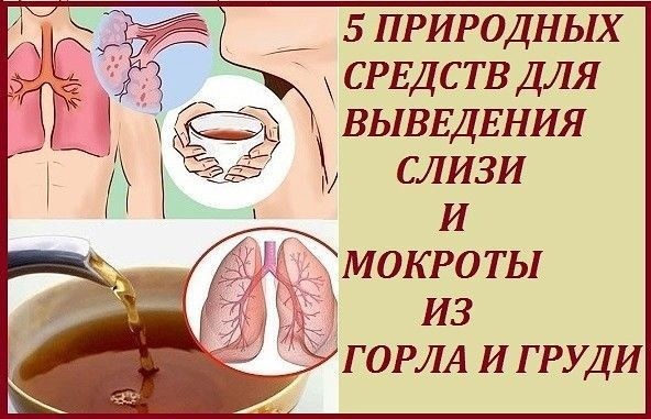 ​Как выгнать слизь и мокроту из горла и груди: 5 профилактических средств, которые работают