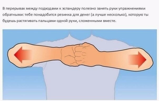 Простые и эффективные упражнения для мышц, которые позволят вам в короткие сроки увеличить мышцы рук