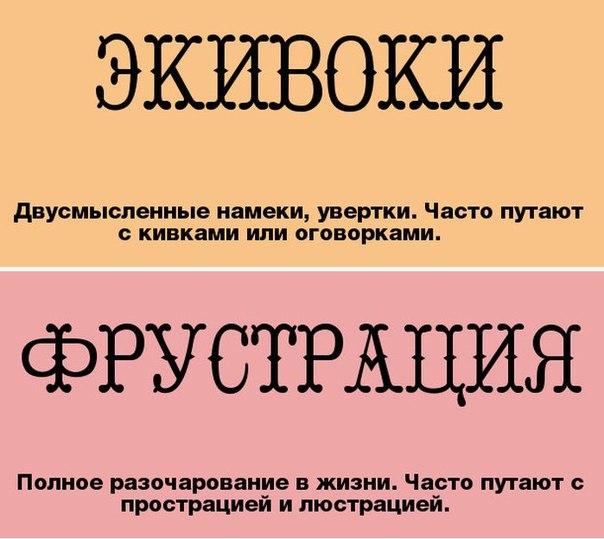 Учимся говорить по-русски правильно: слова, часто используемые "не по назначению"