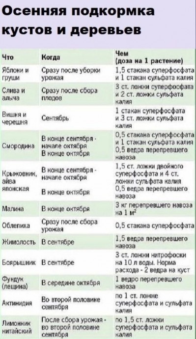 ​Подкормка в сентябре