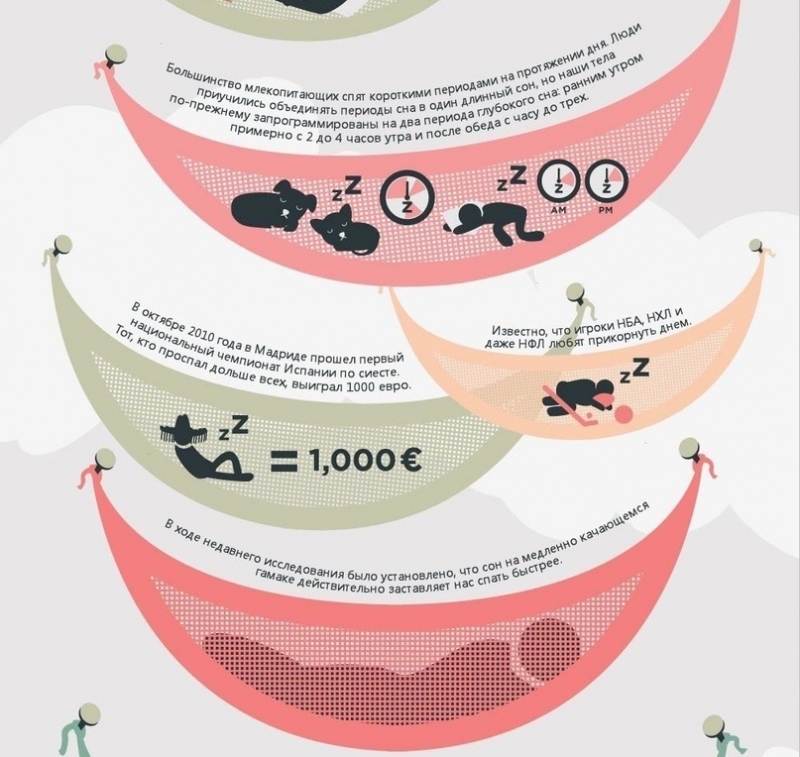 Полезные факты, которые стоит знать о дневном сне