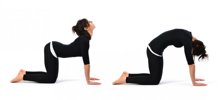 Простые упражнения для избавления от боли в нижней части спины