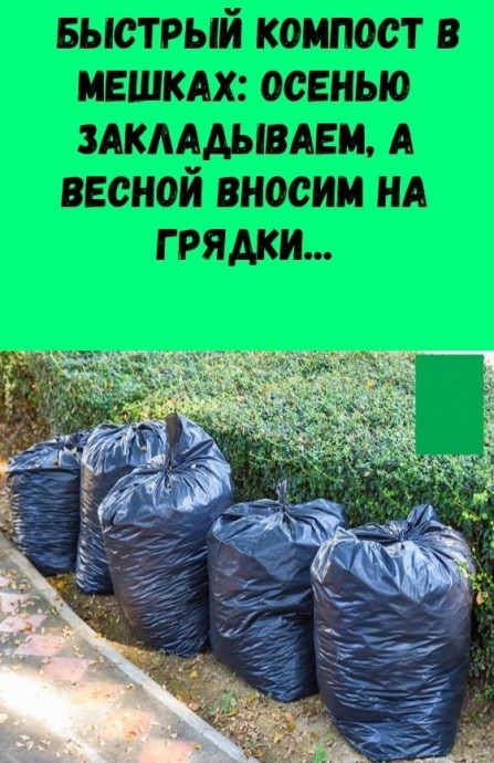 ​Быстрый компост в мешках: осенью закладываем, а весной вносим на грядки