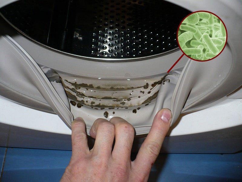 Как убрать плесень в стиральной машине. Отверстия в резинке стиральной машины. Грибок в стиральной машинке. Как убрать плесень в стиральной машине. Как убрать плесень в стиральной машине.