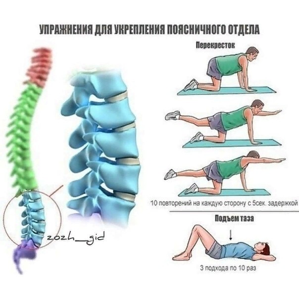 Упражнения для здорового позвоночника