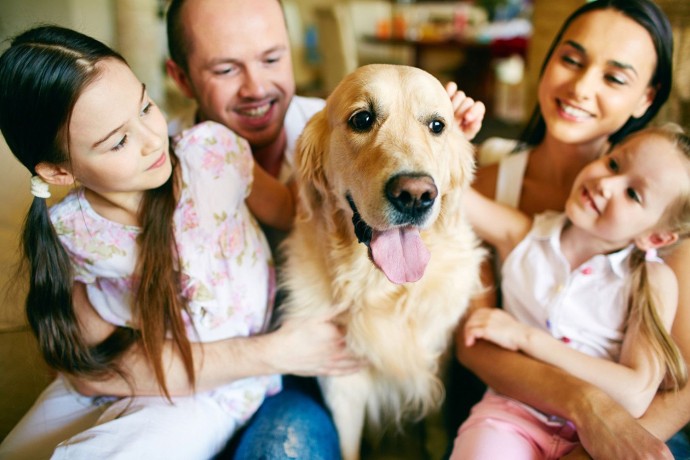 ​Выбираем собаку для семейного счастья