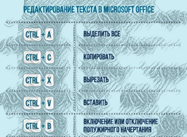 25 полезных комбинаций для работы с текстом в Microsoft Office