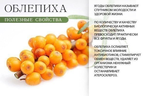 Чем полезны оранжевые продукты