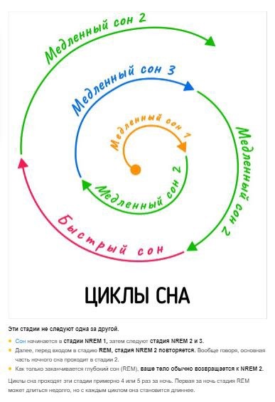 Что стоит знать о сне