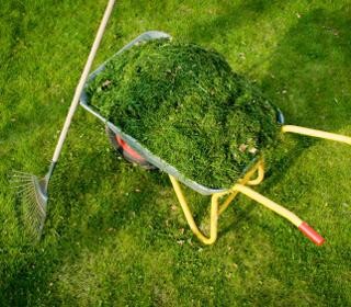 Что такое мульчирование почвы Что такое мульчирование почвы