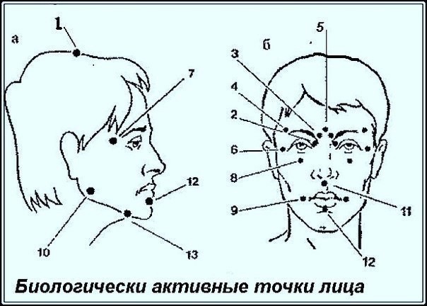 Биологически активные точки на голове - ваша скорая помощь Биологически активные точки на голове - ваша скорая помощь