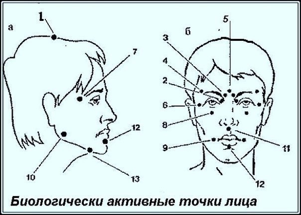 ​Биологически активные точки на голове - ваша скорая помощь