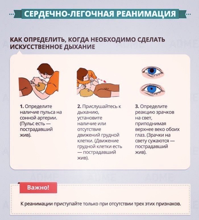 Инструкция по оказанию первой доврачебной помощи