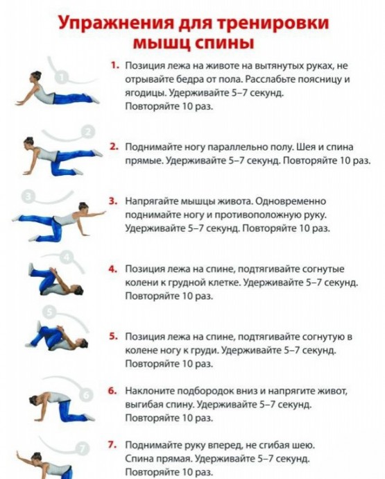 Лучшие упражнения для тренировки мышц спины
