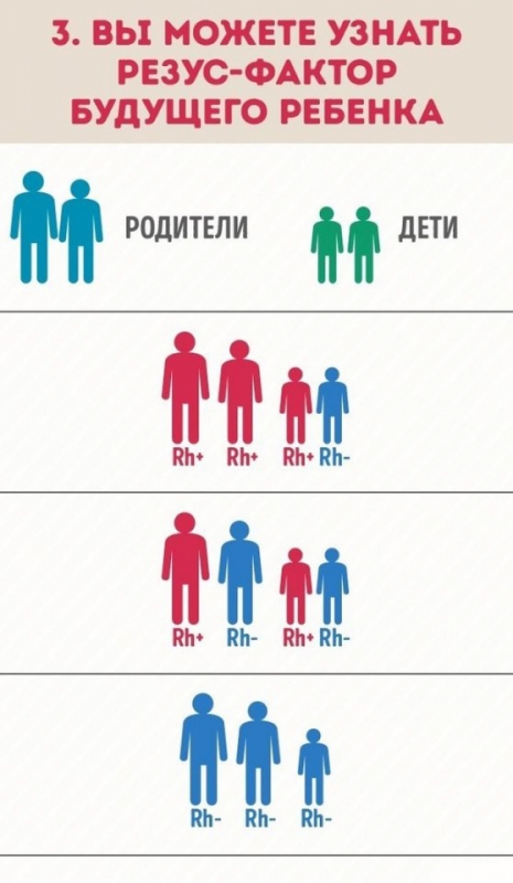 Почему нужно знать группу крови всех членов семьи