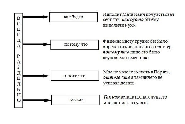 Освежаем в памяти главные правила русского языка