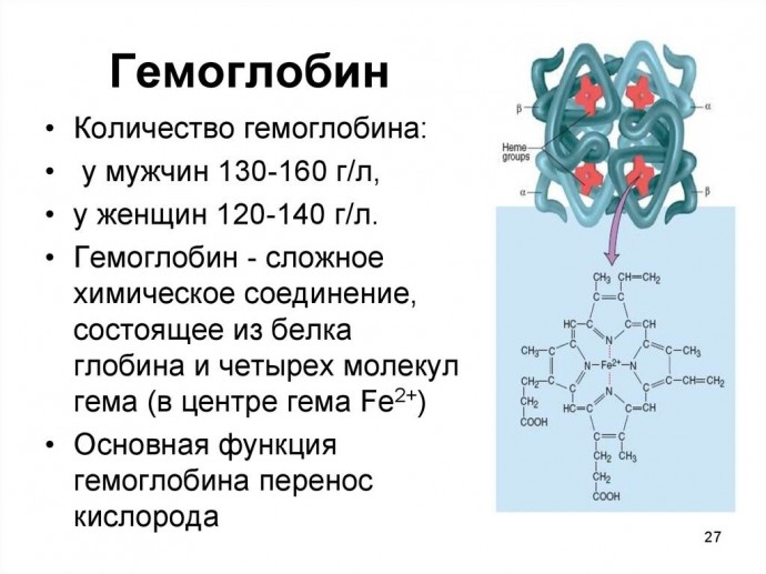 ​Продукты, которые помогут поднять гемоглобин